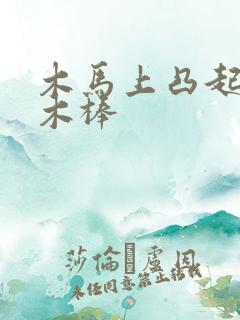 木马上凸起电动木棒