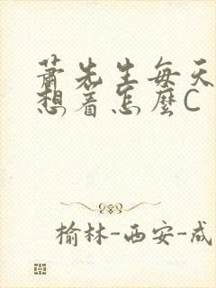 萧先生每天都在想着怎么C