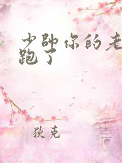 少帅你的老婆又跑了