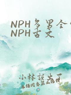 NPH多男全处NPH古文