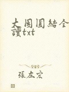 大团圆结全文阅读txt
