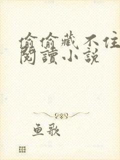 偷偷藏不住免费阅读小说