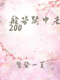 般若关中老人5200