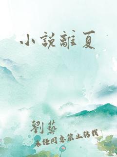 小说离夏