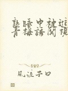 熟睡中被进了H青梅诱哄视频