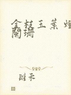 金枝玉叶 灯火阑珊