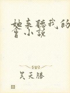 她来听我的演唱会小说