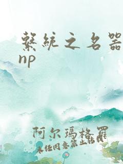 系统之名器攻略np