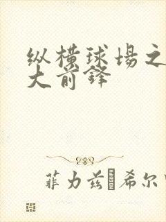 纵横球场之暴力大前锋