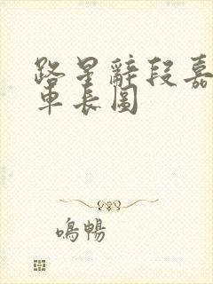 路星辞段嘉衍肉车长图