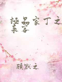 极品家丁之远方来客