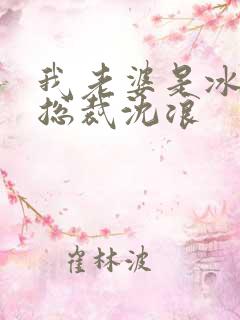 我老婆是冰山女总裁沈浪