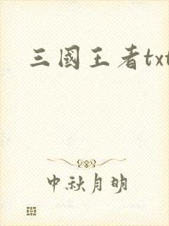 三国王者txt