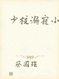 少校溺宠小小妻