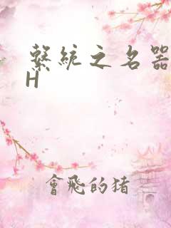 系统之名器勾男H