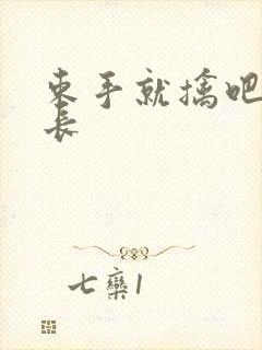 束手就擒吧韩队长