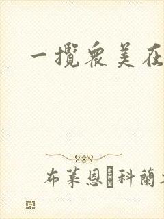 一揽众美在三国