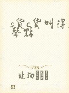 s货c货叫得大声点