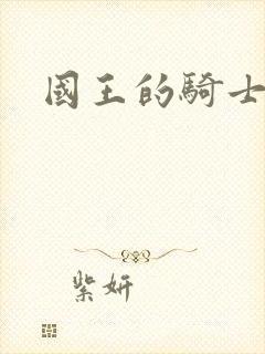国王的骑士