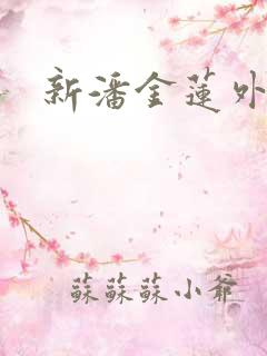 新潘金莲外传