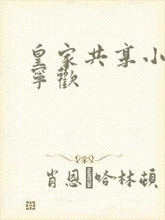 皇家共享小公主宁欢