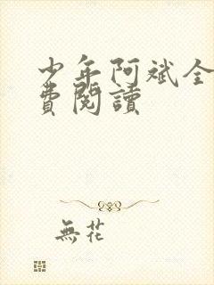 少年阿斌全文免费阅读