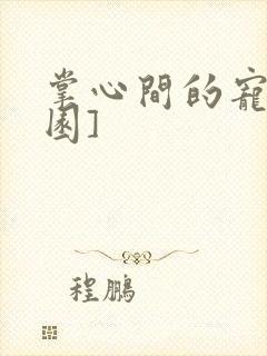 掌心间的宠[校园]