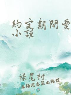 约定期间爱上你小说