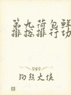 第九荷包鲜辣肉排总排行功能介绍