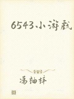 6543小游戏