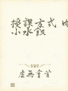 授课方式 肉馅小水饺