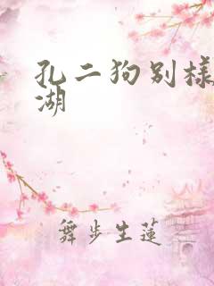 孔二狗别样的江湖