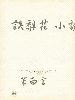 铁梨花 小说