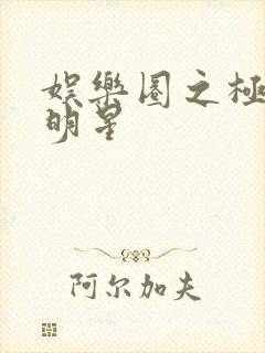 娱乐圈之极品大明星