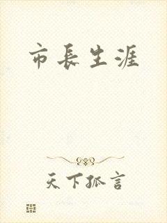 市长生涯