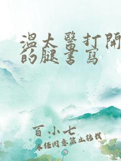 温太医打开眉庄的腿书写