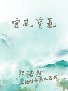 官风宝气