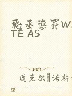 飞丞惩罚WRITE AS