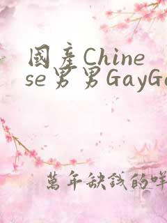 国产Chinese男男GayGayAPP