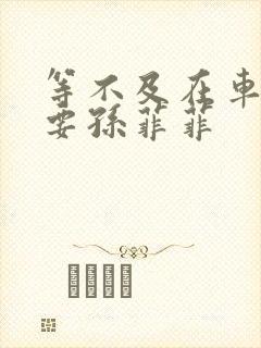 等不及在车里就要孙菲菲