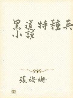 黑道特种兵有声小说