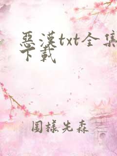 恶汉txt全集下载