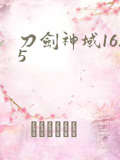 刀剑神域16.5