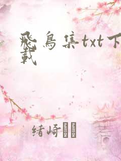 飞鸟集txt下载