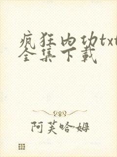 疯狂内功txt全集下载