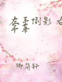 左手倒影 右手年华