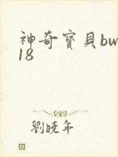 神奇宝贝bw118
