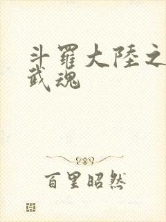 斗罗大陆之三生武魂