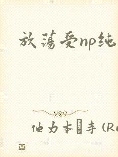 放荡受np纯肉