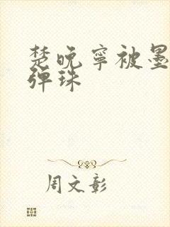 楚晚宁被墨燃塞弹珠